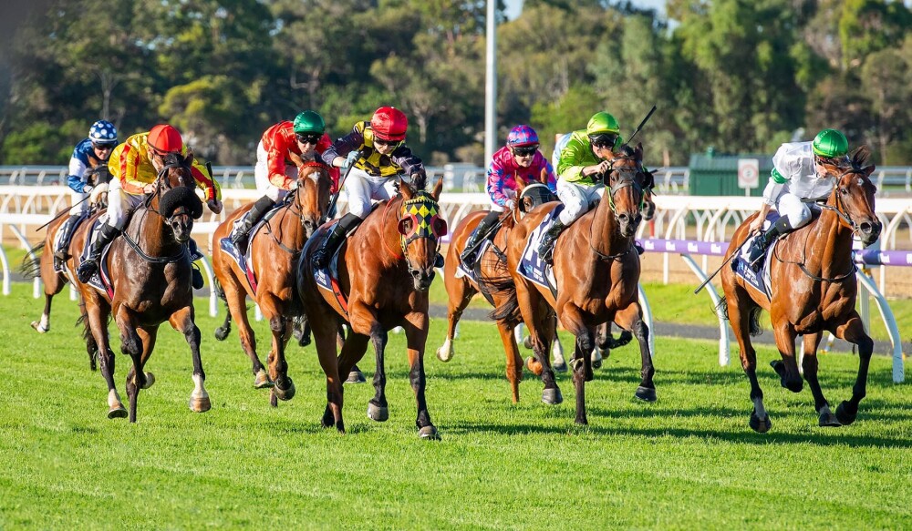 Bunbury Turf Club tweet media