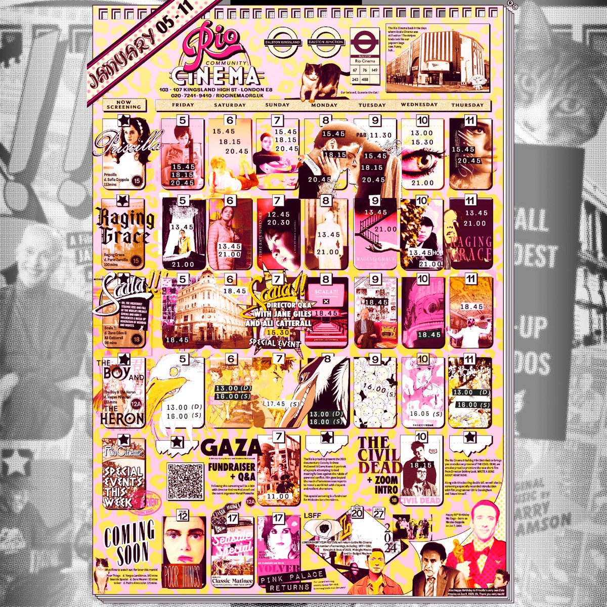 riocinema's tweet photo. WHAT'S ON AT THE RIO 🎬

🔥 SCALA!! &amp; RAGING GRACE

🍿THE BOY AND THE HERON &amp; PRISCILLA

📽️ GAZA + Q&amp;A plus THE CIVIL DEAD +RECORDED INTRO

🎟️ https://t.co/EzDZKwKYsq https://t.co/grVyf2fsgU