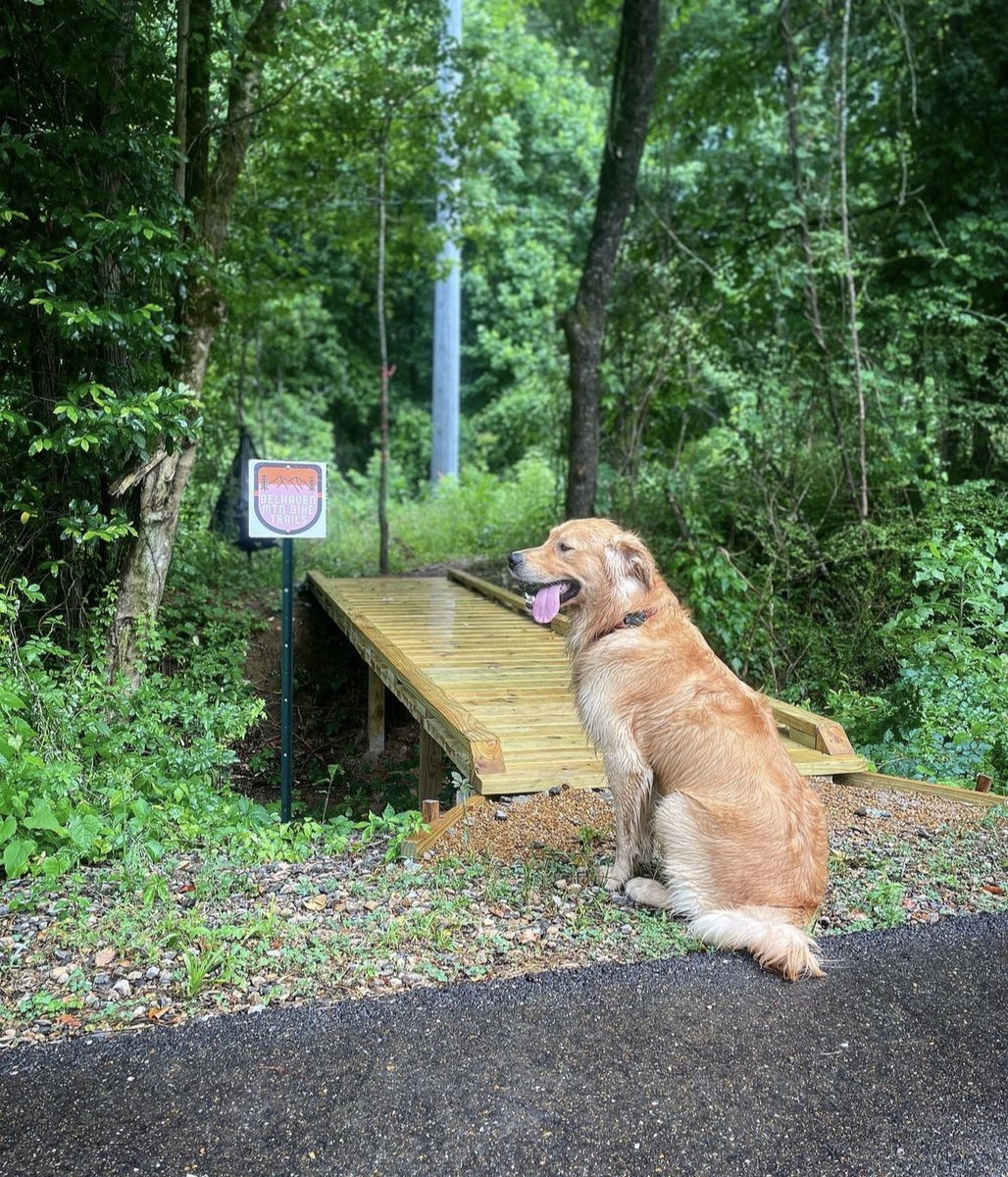 The Belhaven Mountain Bike Trail can be accessed from the Museum Trail. The GBF granted the Mountain Bike Trail a memorandum in January 2021, allowing for continued construction and maintenance of the trail system.
