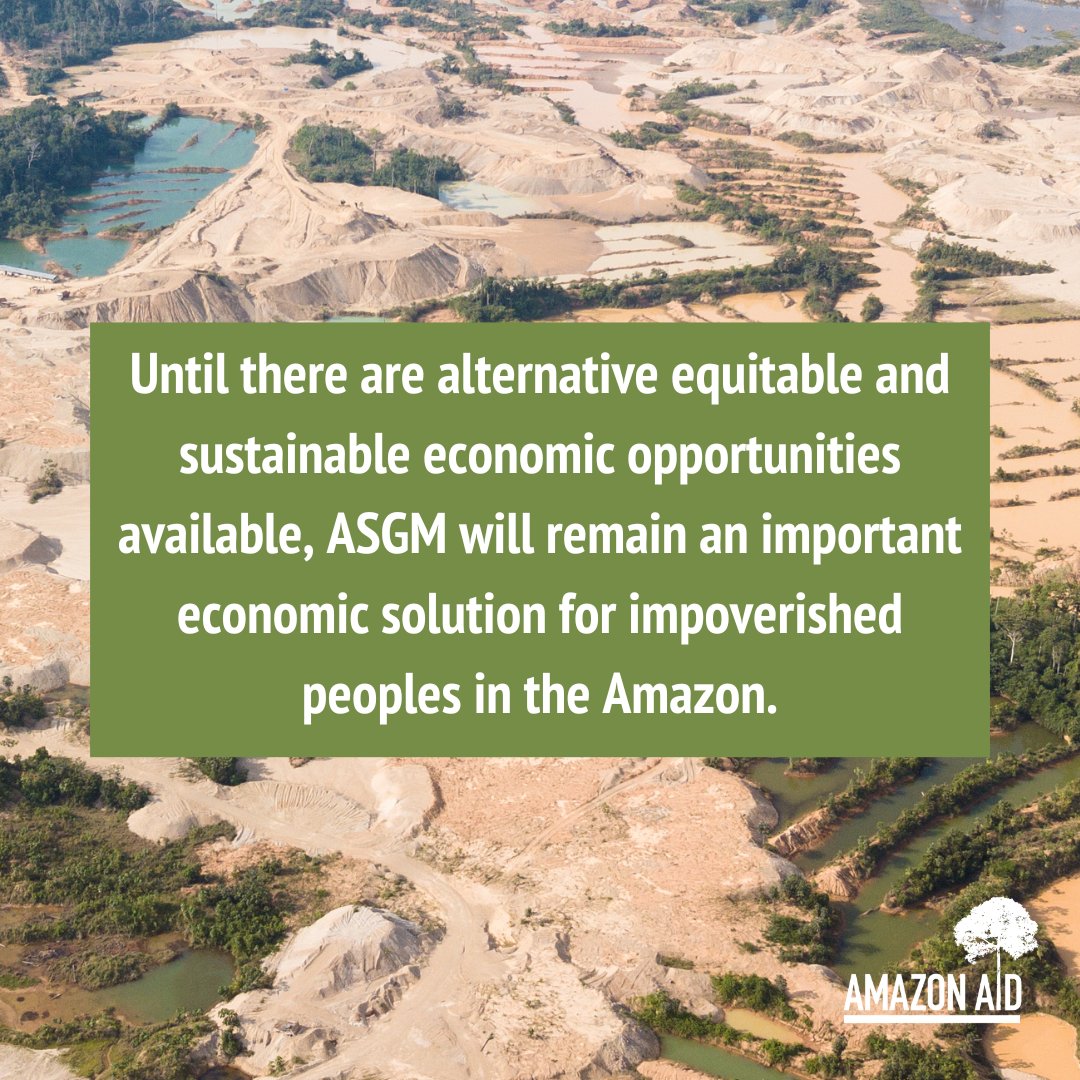 AmazonAidF's tweet image. Until there are alternative equitable and sustainable economic opportunities available, gold mining will remain an important economic solution for impoverished peoples in the Amazon. 

Read more via Amazon Aid:

amazonaid.org/trackingamazon…