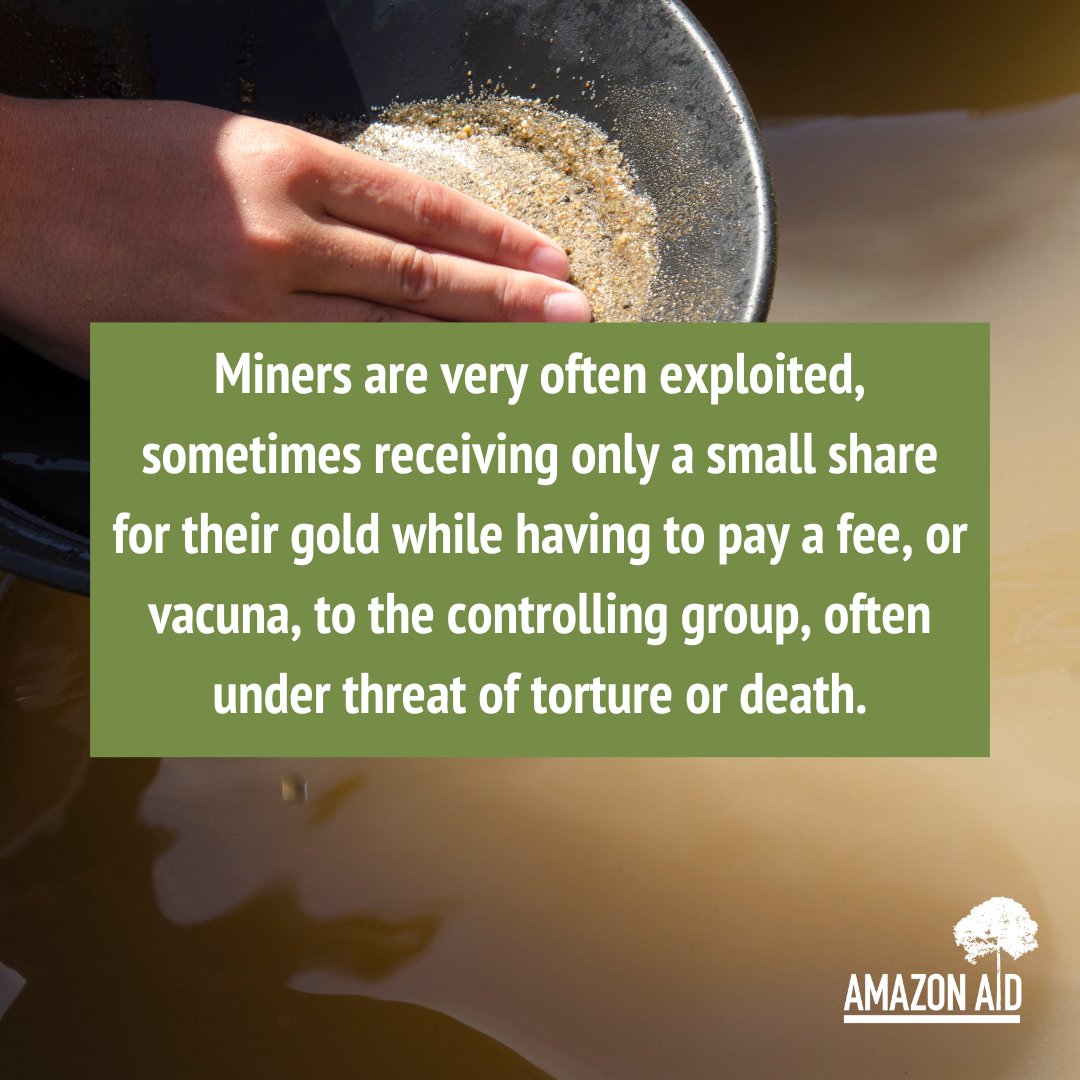 AmazonAidF's tweet image. Until there are alternative equitable and sustainable economic opportunities available, gold mining will remain an important economic solution for impoverished peoples in the Amazon. 

Read more via Amazon Aid:

amazonaid.org/trackingamazon…