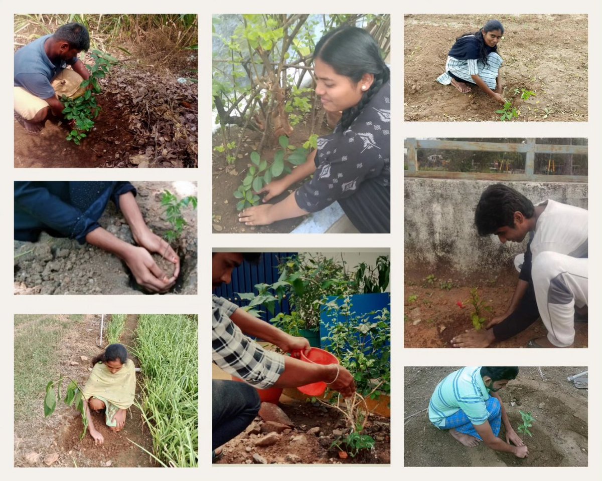 nss_unit2_bit's tweet photo. Tree Plantation (02.01.2024 ) :
"வீட்டுக்கு ஒரு மரம் வளர்க்க🌳
வீடு ஒன்று கேட்காதீர்! 🏡
வீதியெல்லாம் உன் வீடு
வளரட்டும் ஒரு மரம் உன்னால்!!🌱"
#NSSProject #VolunteerDay #StudentInitiative #GreenLiving #MountainReforestation https://t.co/MysXl2q0YT