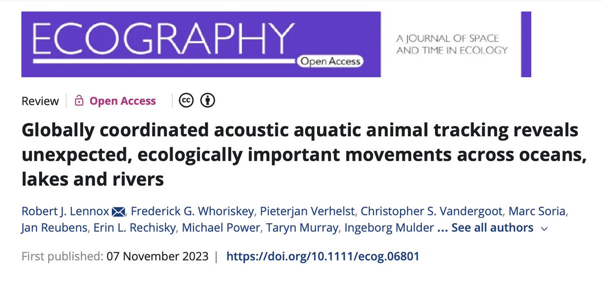 New paper! OTN's scientific director, Robert Lennox, led a multi-country study on aquatic animal tracking. This work—which began as part of ideasOTN in 2019—showcases the power of collaborative telemetry networks and serendipitous observations. Read more: doi.org/10.1111/ecog.0…