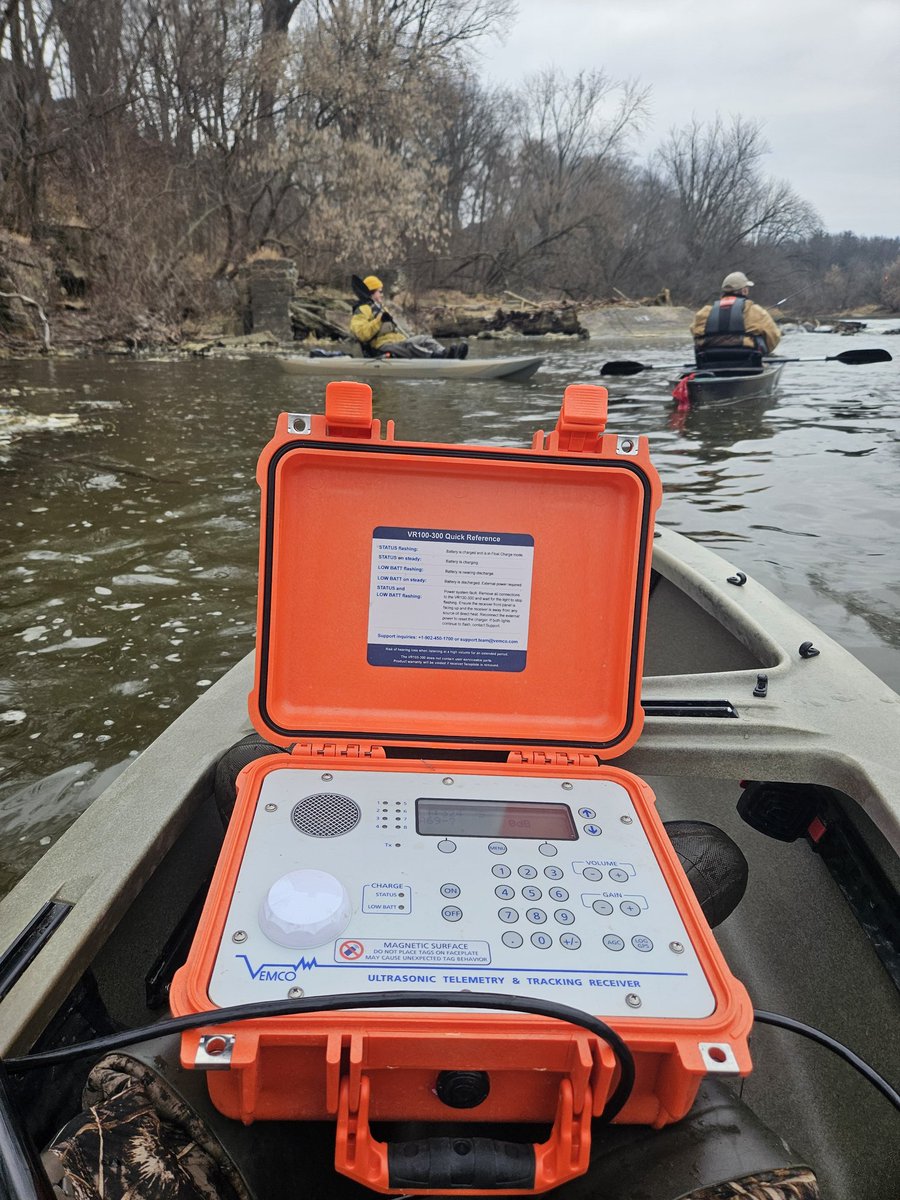 Active tracking today to try to account for some missing sturgeon!  
#lakesturgron #fieldwork #acoustictelemetry #innovasea