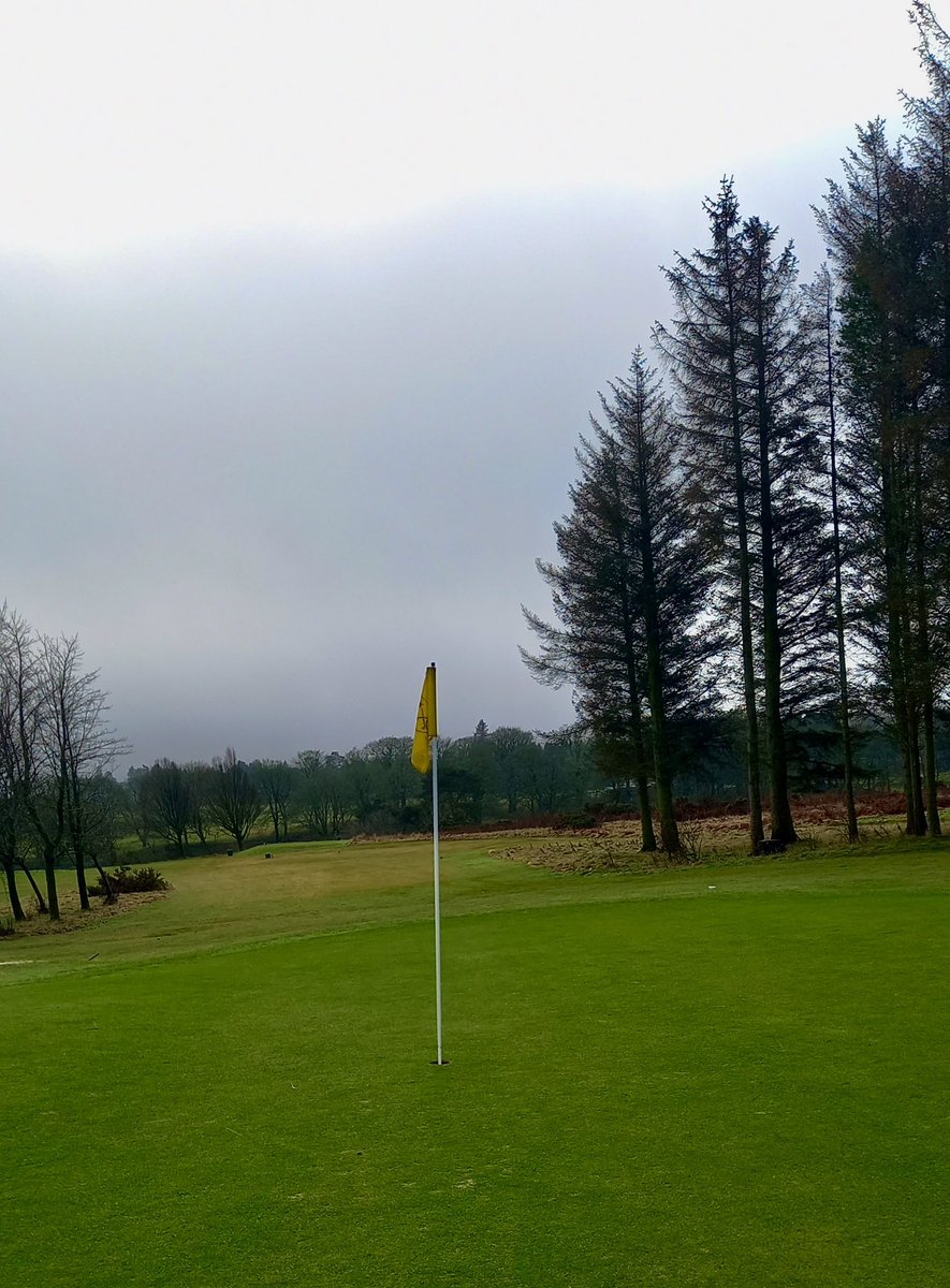 Friday Moorly from Slipperfield #Gowfx3