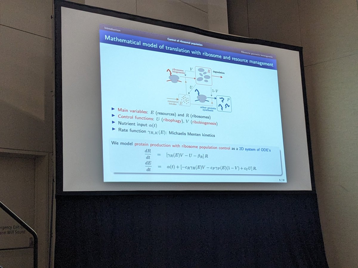 Khanh Dao Duc from the @UBC, University of British Columbia, discusses the mathematics of ribosome heterogeneity. #JMM2024 #Mathbio #SanFrancisco