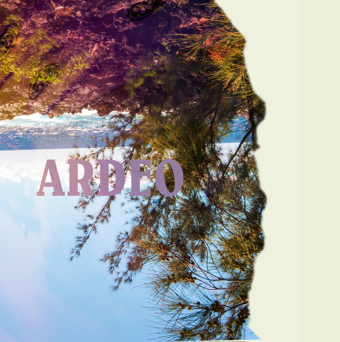 FadeWade 🇷🇪 🇲🇶 tweet media