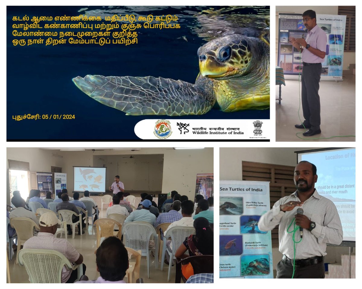 wii_india's tweet photo. #WII in association with Pondicherry forest department and Lotus foundation has conducted a capacity building program on #Marine #turtle population assessment and hatchery management practices as part of the #IDWH #MarineTurtle program at #Pondicherry. The frontline forest staff and the local community stakeholders have actively participated in the training program. @moefcc @CM_Puducherry @vrtiwari1 @sureshwii @nehrutp @VanjuSridhar @ParvathiRN17 #IDWH