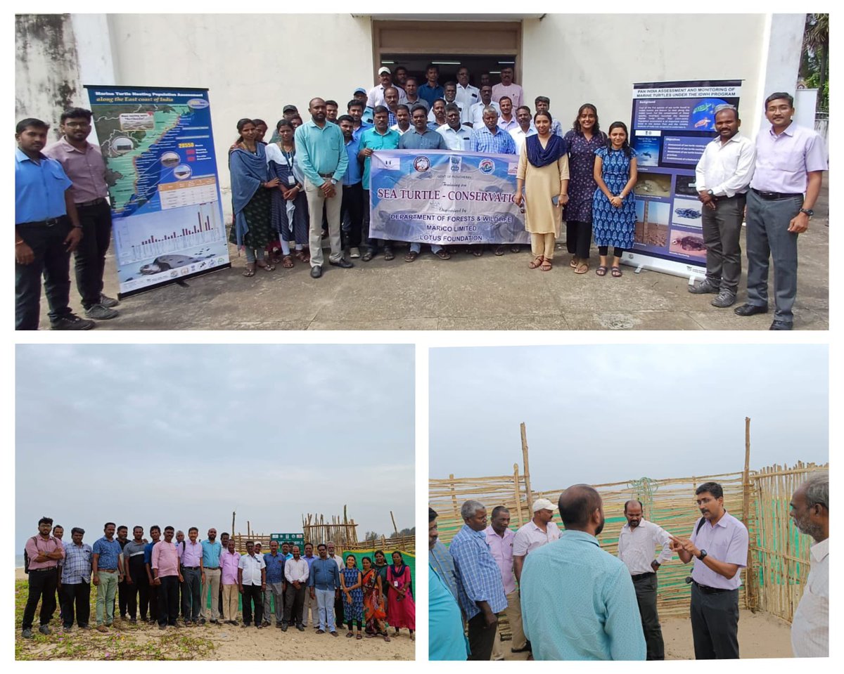 wii_india's tweet photo. #WII in association with Pondicherry forest department and Lotus foundation has conducted a capacity building program on #Marine #turtle population assessment and hatchery management practices as part of the #IDWH #MarineTurtle program at #Pondicherry. The frontline forest staff and the local community stakeholders have actively participated in the training program. @moefcc @CM_Puducherry @vrtiwari1 @sureshwii @nehrutp @VanjuSridhar @ParvathiRN17 #IDWH