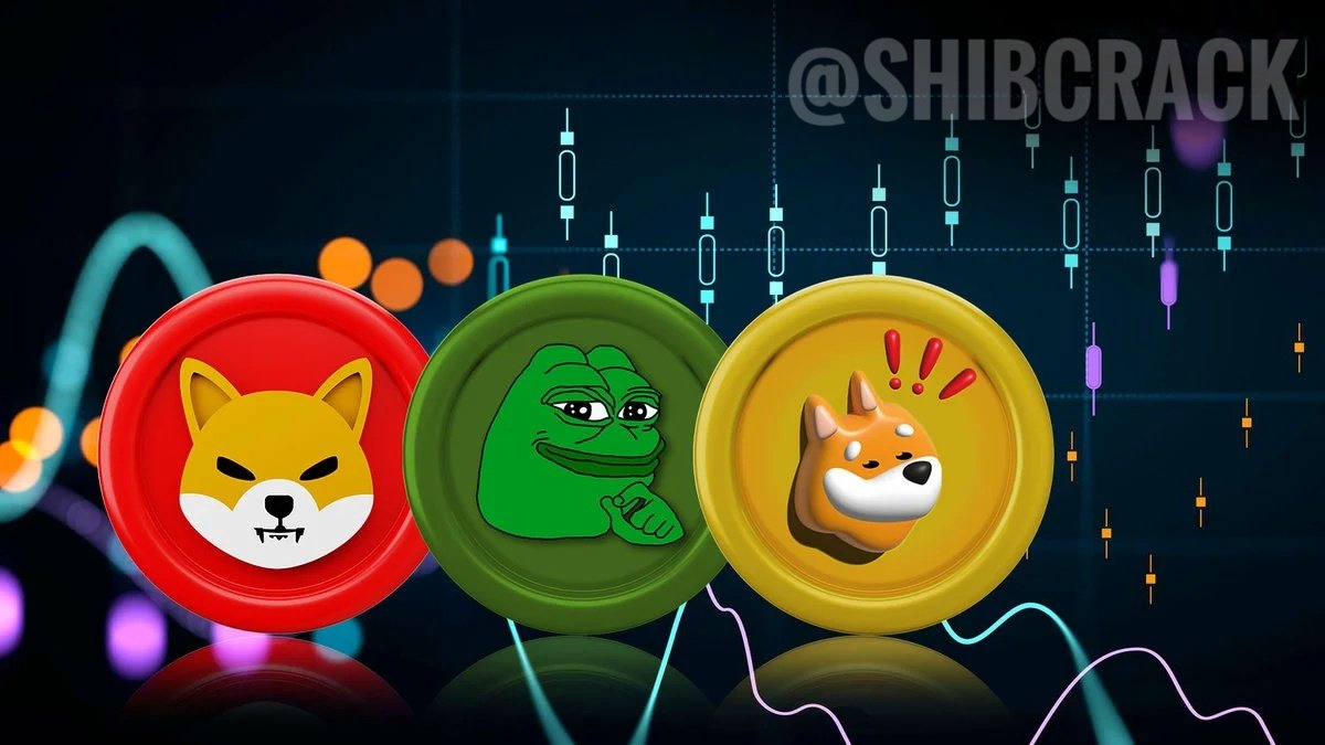 SHIBCrowd's tweet photo. $SHIB, $PEPE and $BONK Rivalry Takes New Twist Amid Changing Goals🚀

#Shibarium #PEPECOMMUNITY #BONK #trading #Epstein #เบียร์thevoice https://t.co/qSqDqX8jnW