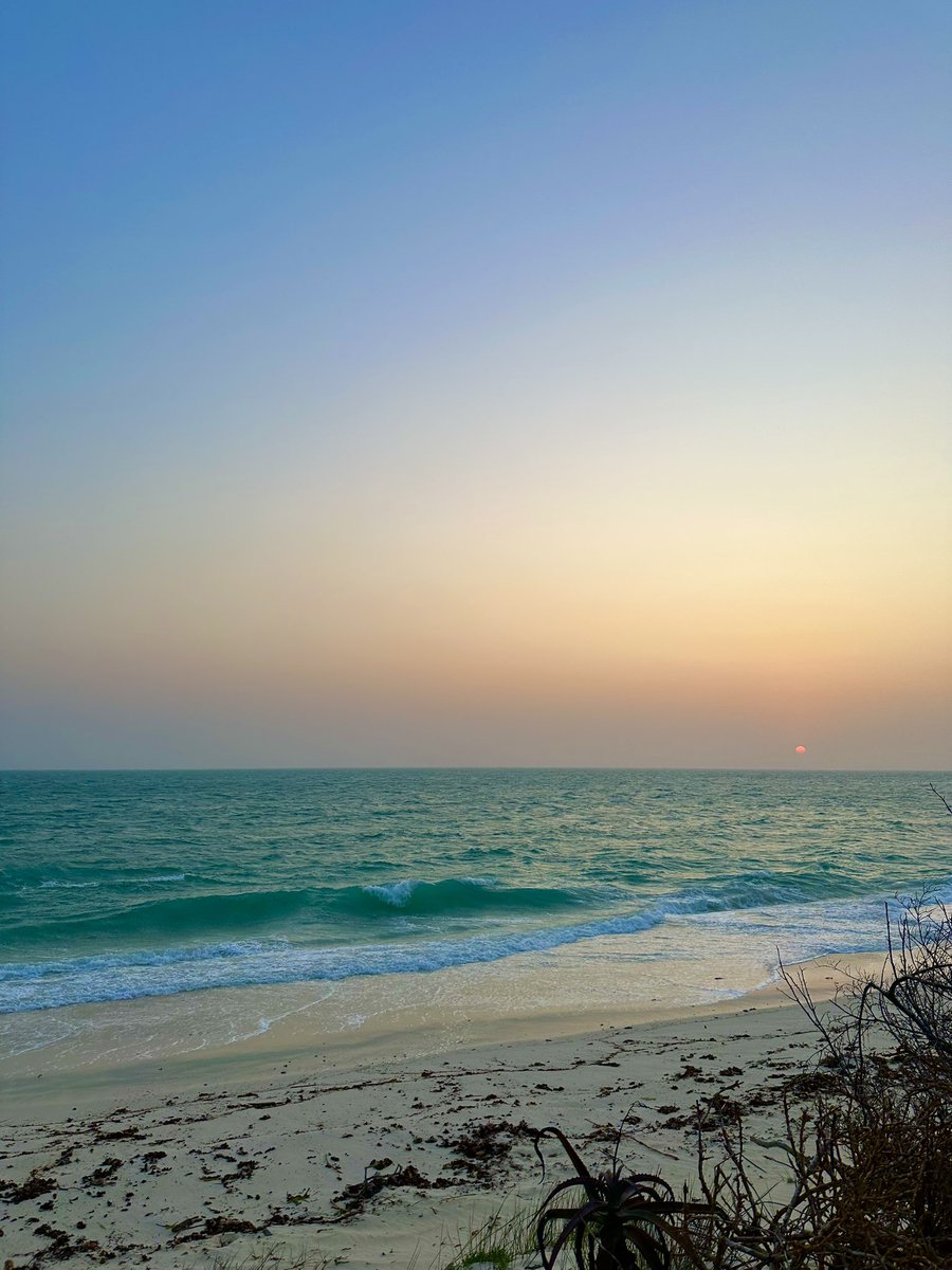 tefi 🇲🇬 tweet media