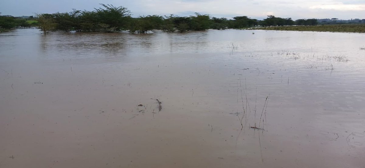 Lemek-Nkorinkori road in Narok West flooded after today's heavy rains. Kenya Red Cross is on top of the situation, actively monitoring.