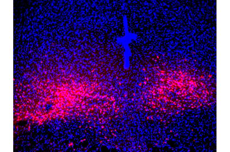 Sciencebeta tweet media