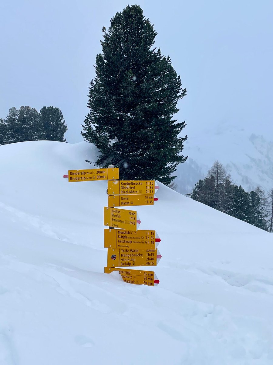 meteoschweiz's tweet photo. Wenn Frau #Holle die Decke ausschüttelt!  Ob es nur ein paar Zentimeter #Neuschnee sind oder ob dieser Wegweiser noch eingeschneit wird, erfahren Sie in unserem #Meteoblog: https://t.co/TnQ5Jo8253
Quelle: Meteomeldungen/App https://t.co/GvxqHDbwaN