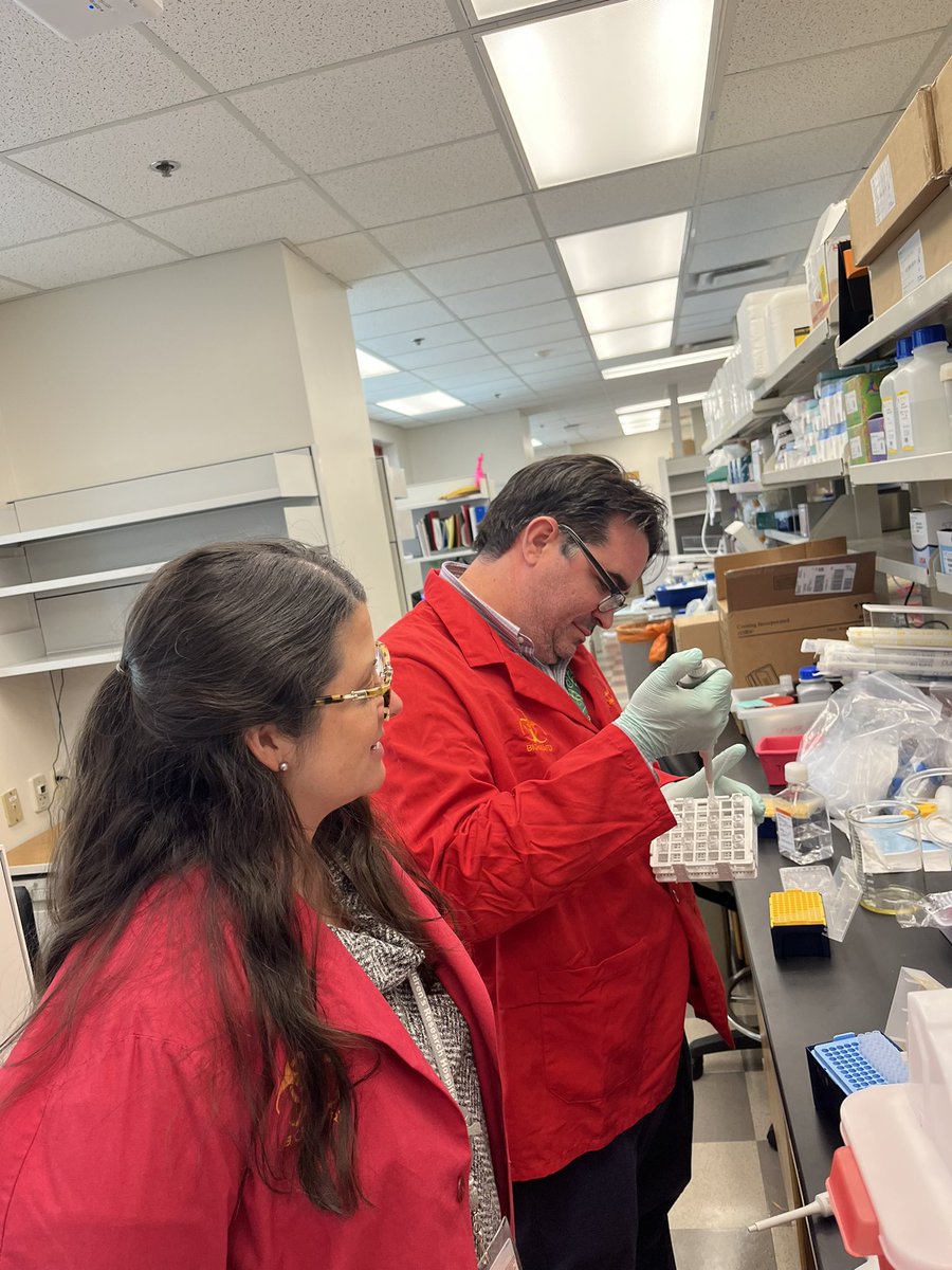 Great technique and proper PPE by @TorresVJ_Lab! I wonder who is training who? BTW, we have positions for postdocs and researchers in the Torres lab at Host-Microbe Interactions @StJudeResearch @StJude