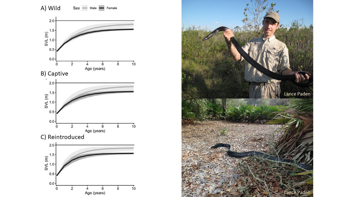 Javan Bauder, Ph.D. tweet media