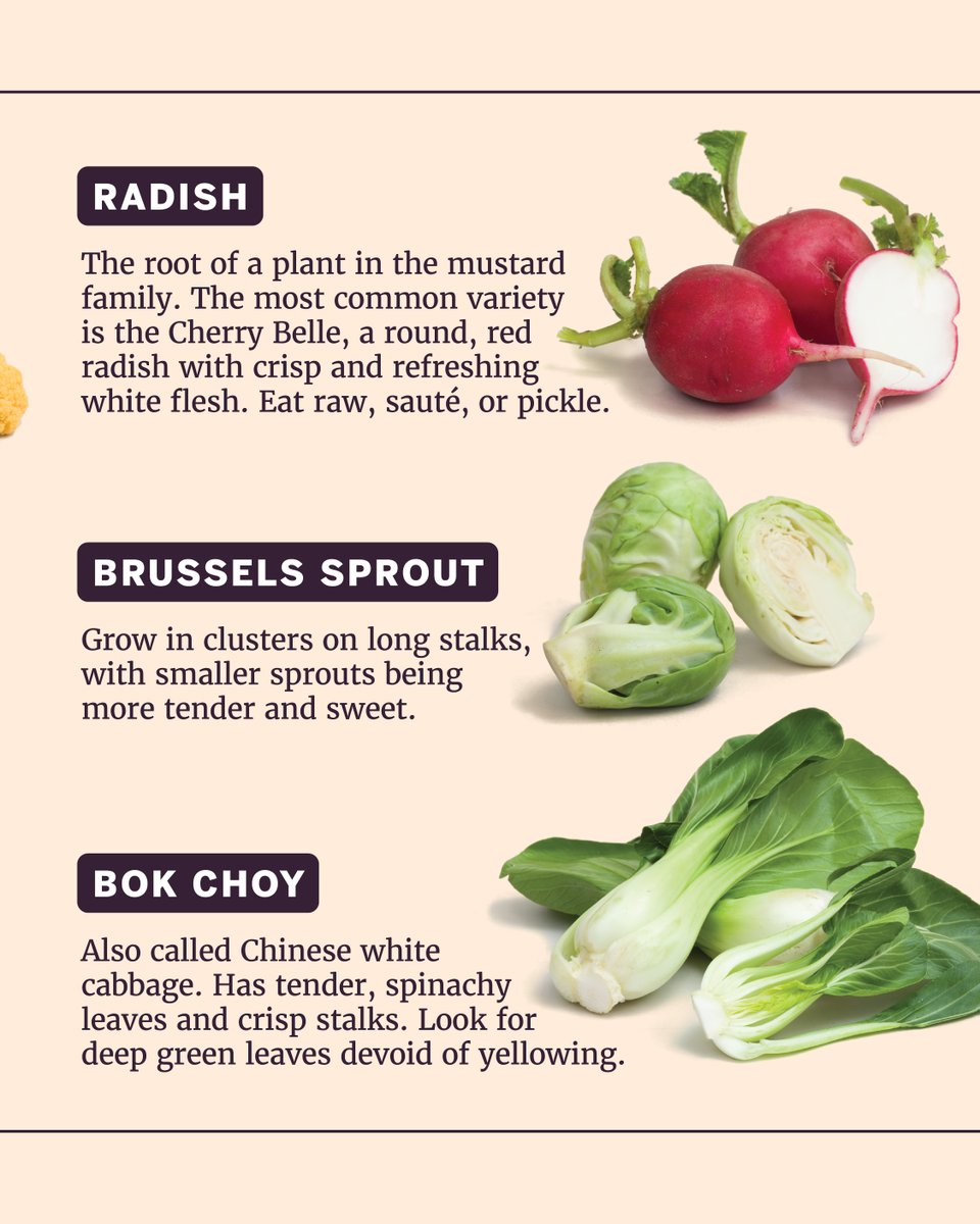 TestKitchen's tweet photo. We break down different types of cruciferous vegetables and their unique characteristics.  Make our Parmesan Roasted Cauliflower: https://t.co/ndlTTCgjZ7 https://t.co/ldlZoh04IL