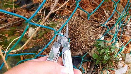 Leatherman's tweet photo. Reason #3742 to carry a multi-tool: you encounter a hedgehog stuck in a fence.
#waveweek #leathermantools
Thanks for the photo Sándor! https://t.co/eQJHoV2jRj