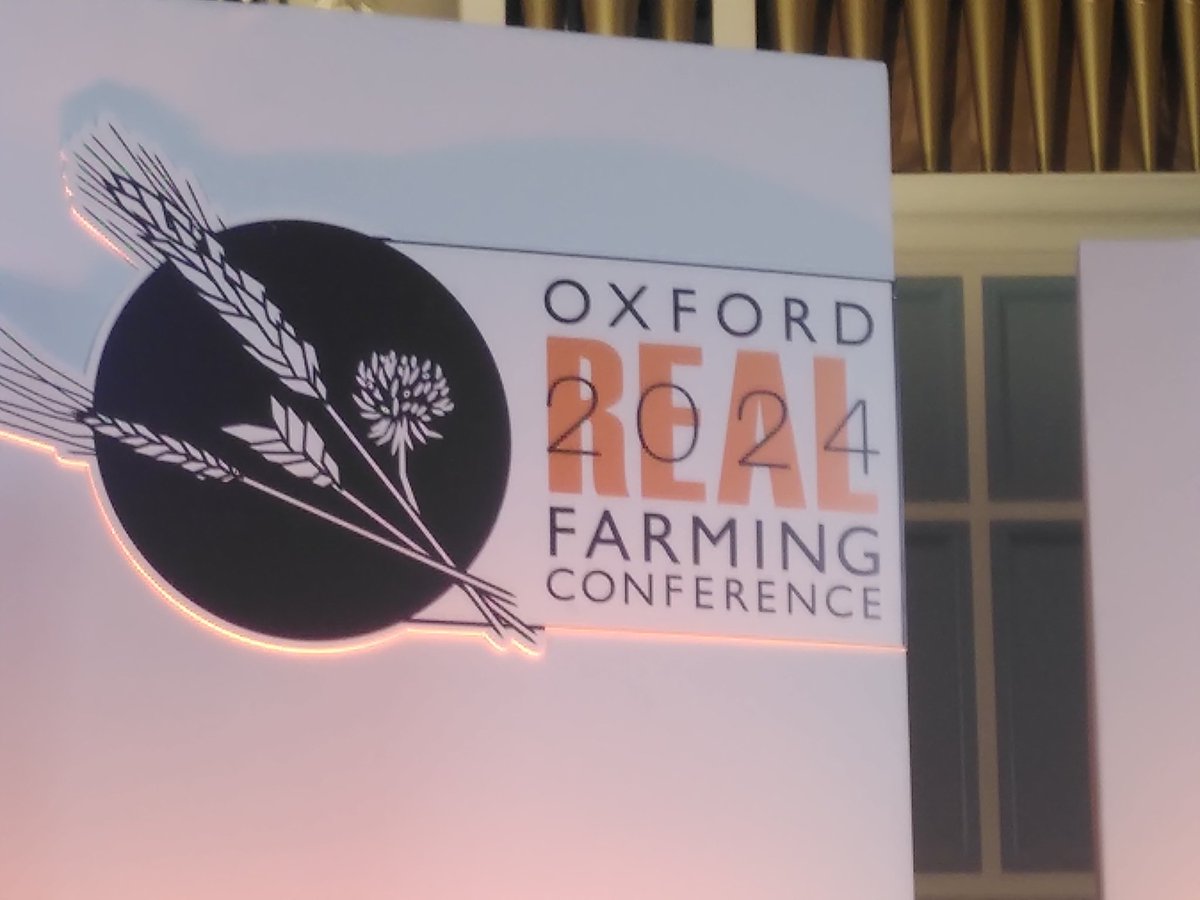 blewinbell's tweet photo. #Respair the official word of 2024 thanks to @ORFC https://t.co/Hcu7pnkVxg