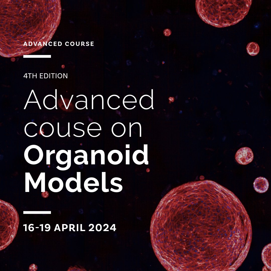 i3S_UPorto's tweet photo. This course aims to present the fundamentals of organoid models. Participants will learn the basics of working with #organoids, culturing and maintaining them, and data analysis methods.
Early registration⏰31Jan
➕https://t.co/kL28IWFRlm
#i3Straining #i3Sgraduate https://t.co/Kgiot0nWs6