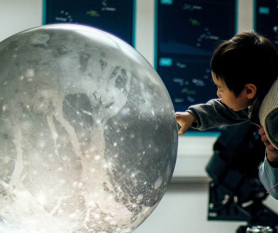 Pufferfish tweet media