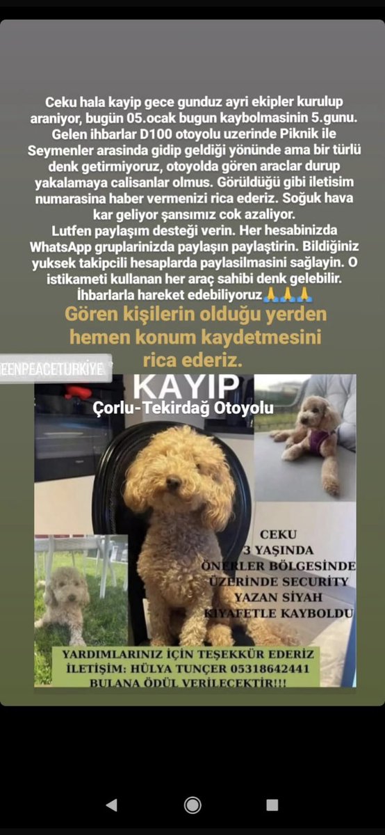 karayaslihan's tweet photo. PAYLAŞIM DESTEĞİ RİCA EDİYORUM

İstanbul - Çorlu - Edirne arasında araba kullanan arkadaşların dikkatine lütfen RT yapar mısınız? https://t.co/oeLuUbez0r