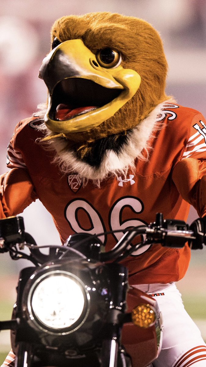UUtah's tweet image. Happy #NationalBirdDay! 🐥🪶

Especially to our favorite feathered friend, @SwoopHawk‼️