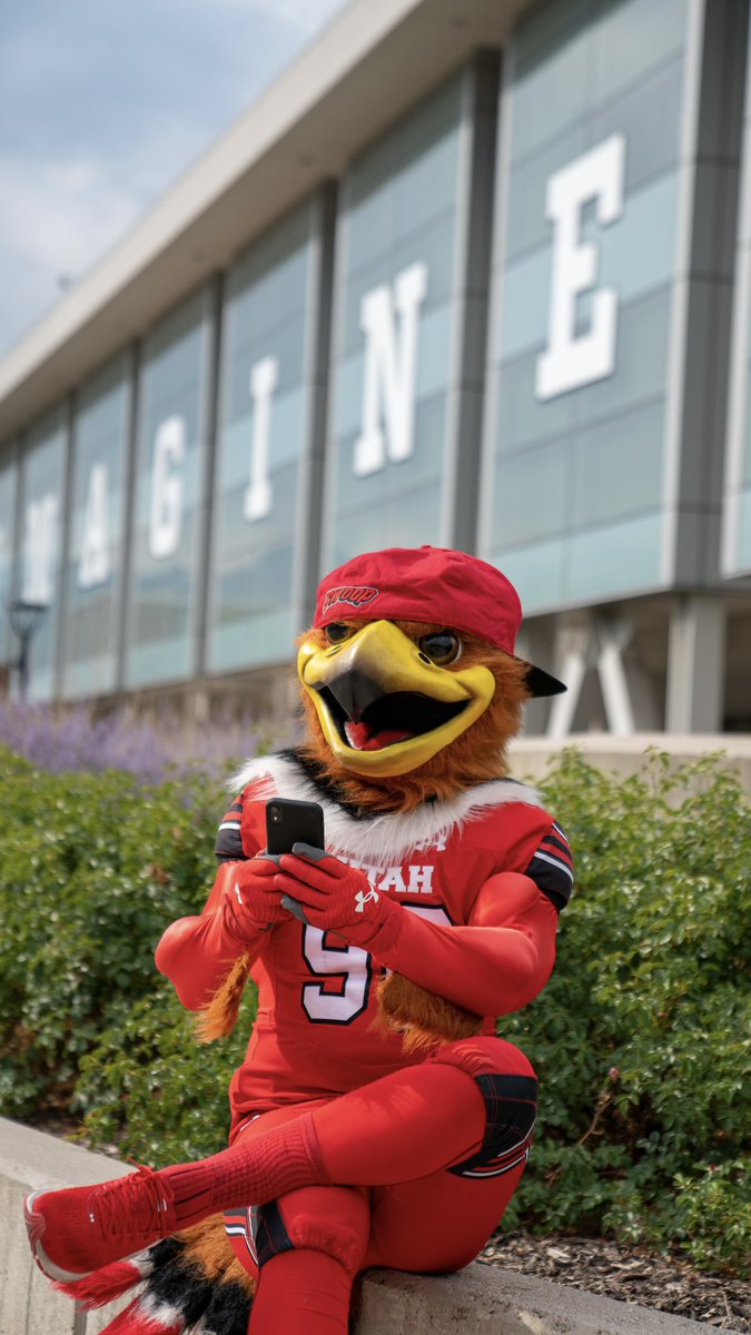 UUtah's tweet image. Happy #NationalBirdDay! 🐥🪶

Especially to our favorite feathered friend, @SwoopHawk‼️
