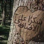 Photo by Muhammad Dawood (@md00089)