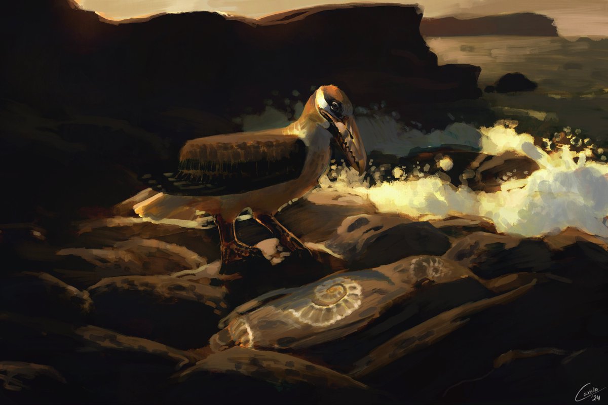 caxela1's tweet image. Strange Rock