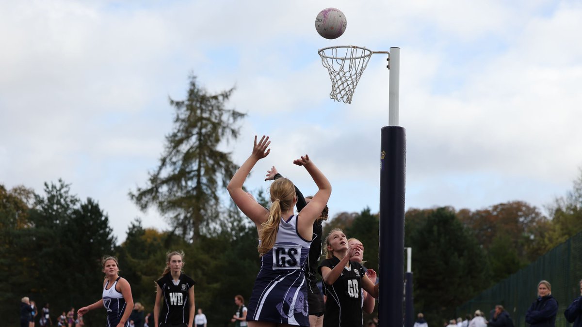 MC Sport tweet media