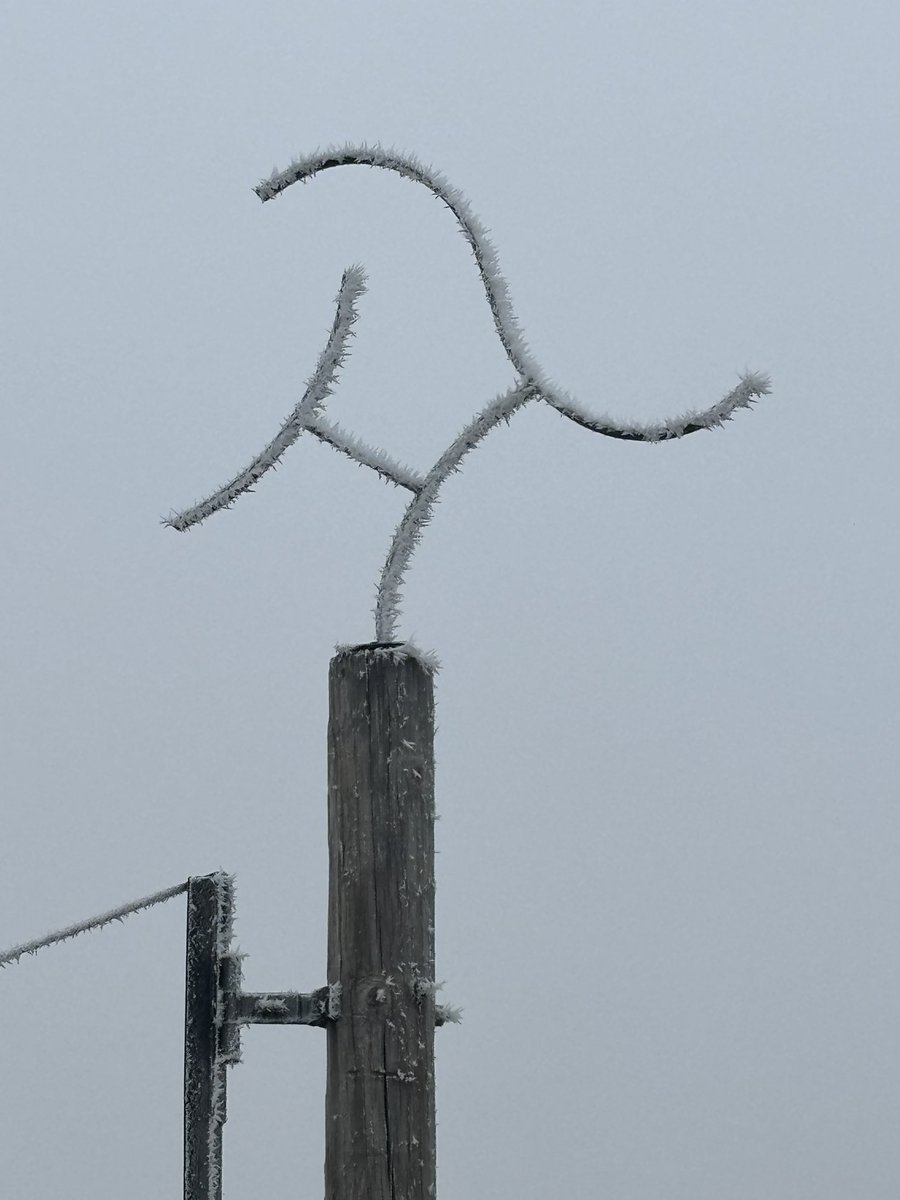 Dog days of winter. Your next round might come in a month or it might be May before it’s nice enough to go play