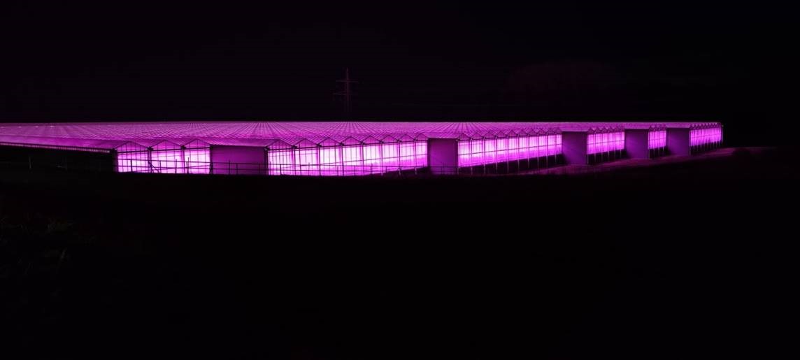 Even in the darkest of days...

#Oreon #LEDLIGHTGROW #greenhouse #LED #winter <a href="/steinerge/">Amin Olve Klungseth</a>