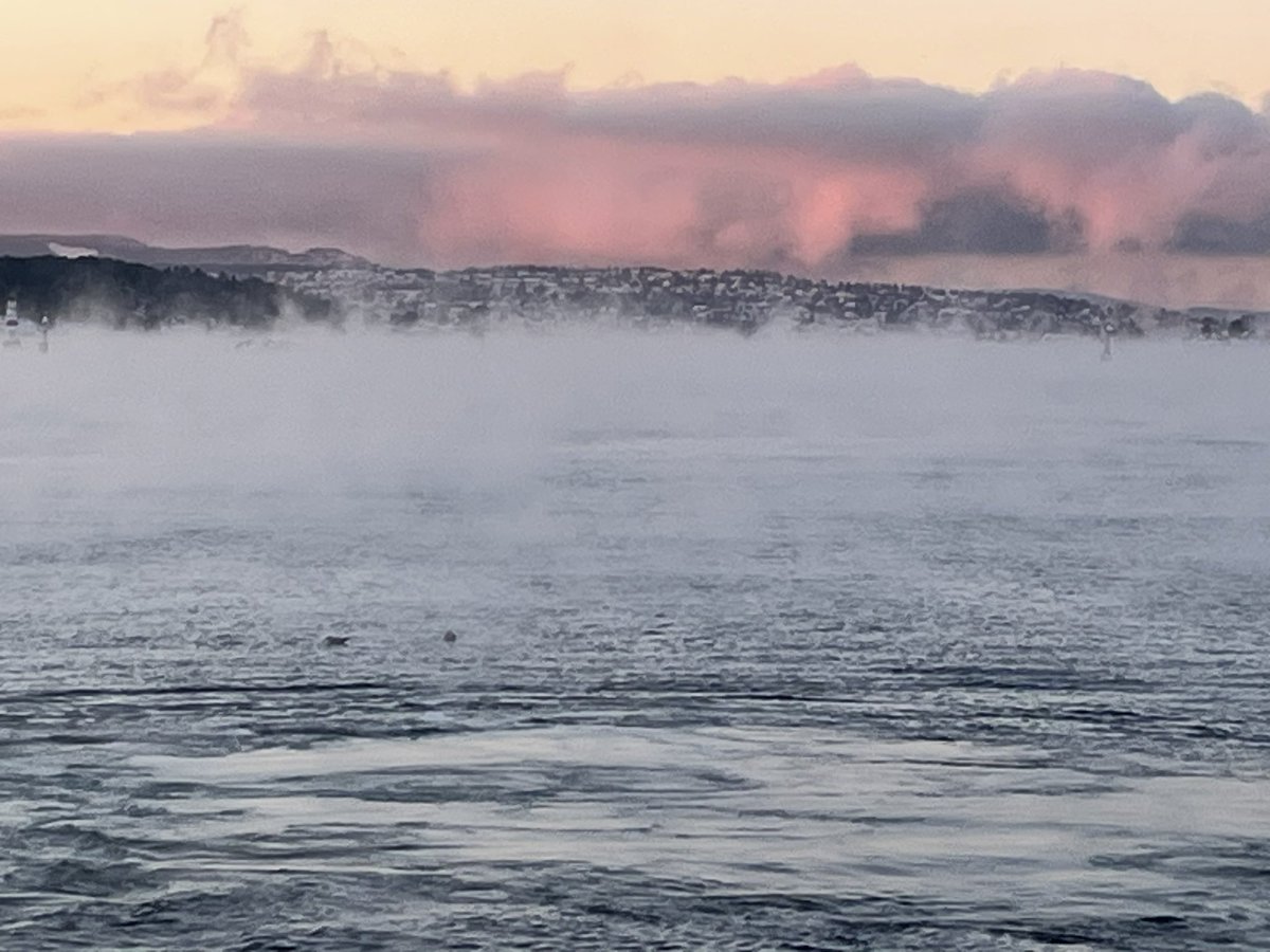 francescofurla8's tweet photo. It a freezing cold in Oslo now but do not forget to submit to the annual @NorgesBank joint conference with @bundesbank and @nationalbanken in Frankfurt on May 7-8 with @ludwigstraub and @CarolinPflueger Deadline is January 15. https://t.co/eW53g0gOjy https://t.co/2ALKKIQbZG