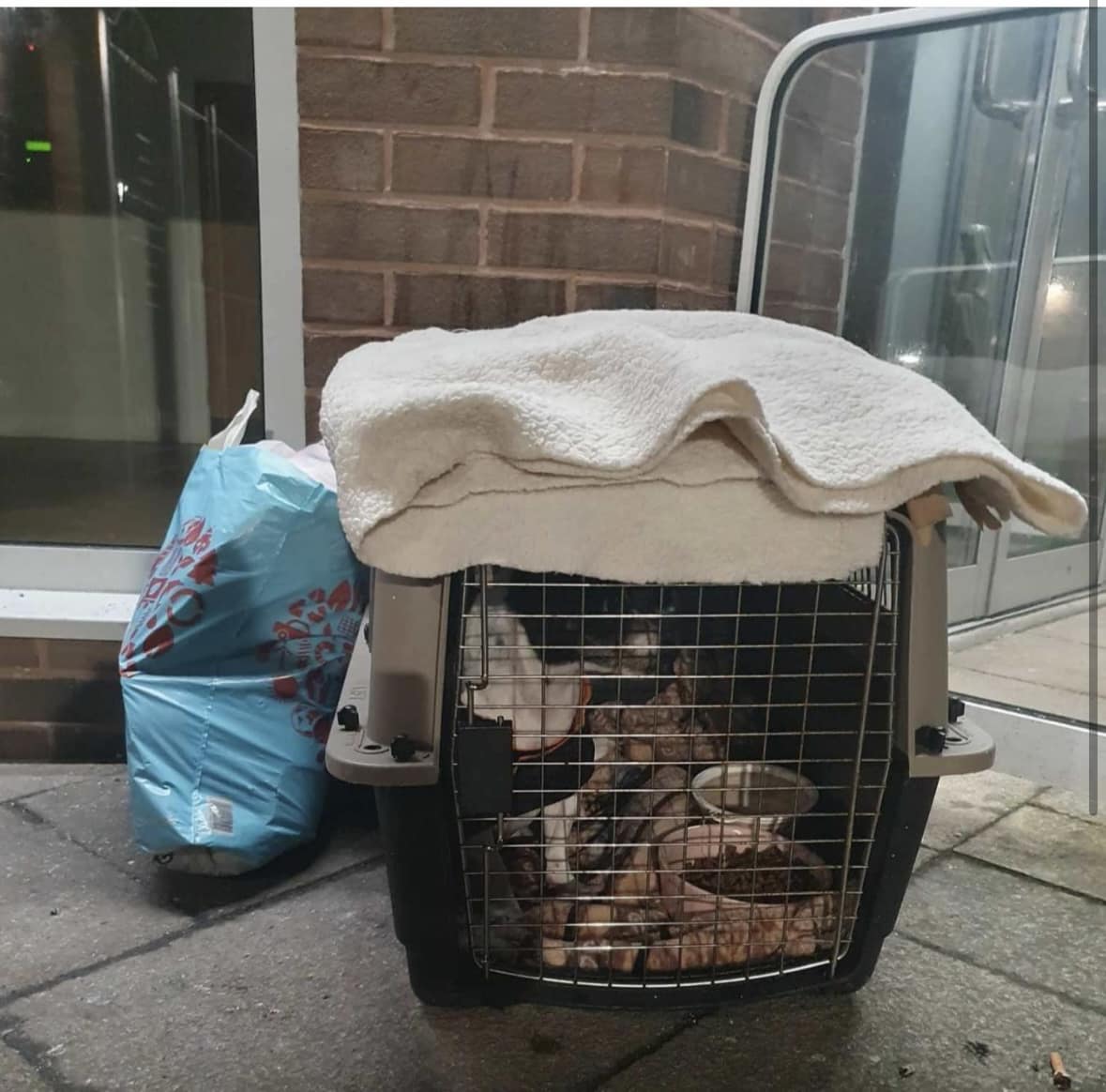 AdoptionsUk's tweet photo. Please retweet to help find the owner or information about this Jack Russell - #Portway, #Wythenshawe, #Manchester Fri 5 January
'A female Jack Russell has been abandoned early hours this morning outside St Anthony’s parish centre/club. If anyone has any information please contact one of the admin team.
Thank you
DETAILS or CONTACT- Ohana Dog Rescue, Manchester 👇
https://t.co/1IkaUslPfx
#dogs #pets #animals #AdoptDontShop @MissingPetsGB @DogLostUK