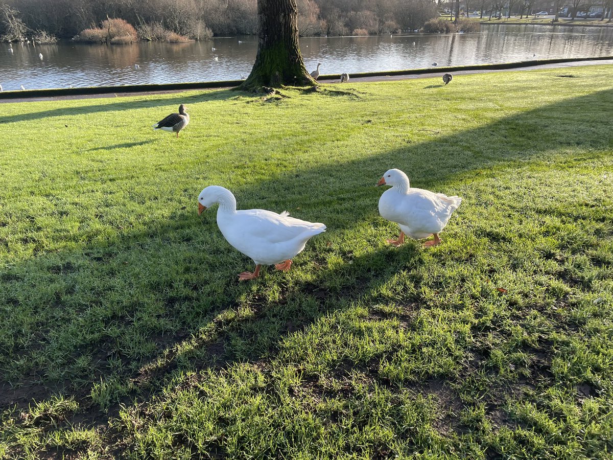 DannyODx's tweet photo. Day 5: Iβm getting used to these bright days.
#NTBreakfast #100DaysOfWalking https://t.co/daexxRmHHf