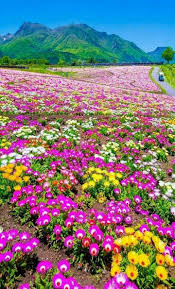 Hello !!!  🥰
Happy Friday everyone.  I wish you a beautiful weekend full of love, peace and happiness, greetings🤗.  God Bless you 🙏 🕊🌺🍀⚘️🌳🌹🍃💐🌲💮🌾🌻🌱🌸🌴🥀