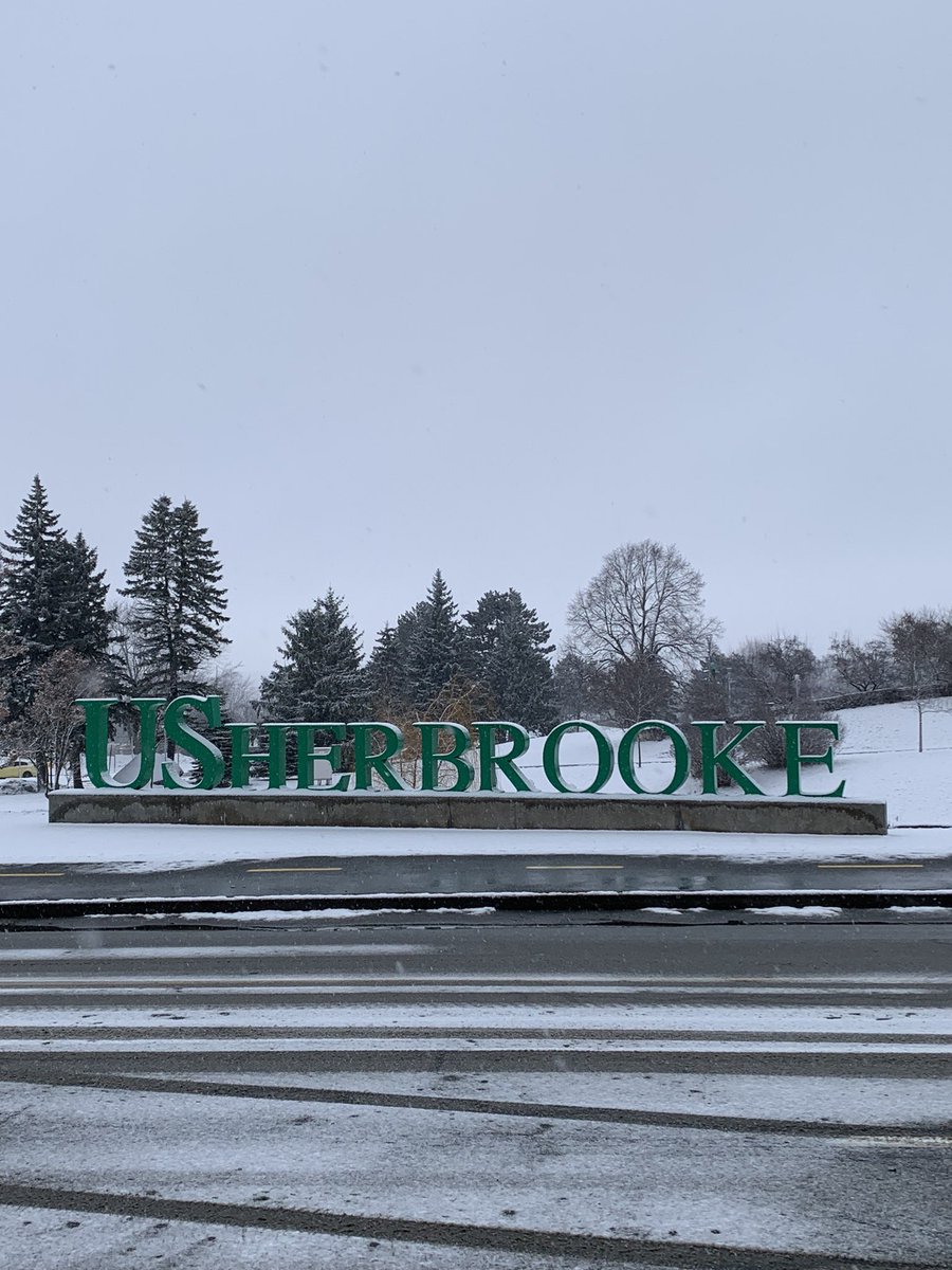 Excited to have finally started my position as an Assistant Professor this week at <a href="/USherbrooke/">Université de Sherbrooke</a> ! Stay tuned as I build up my lab that will focus on the molecular mechanisms driving polymicrobial-specific bacterial features with a strong emphasis on antimicrobial recalcitrance✌🏾