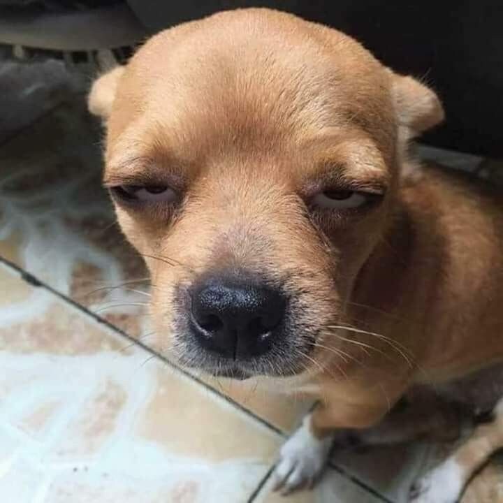 Cuando me acabo de sentar tranquilita y me llaman porque necesitan algo: