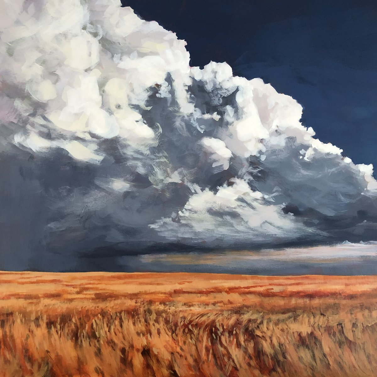 My Studio Sale starts now! 

It’s time to clean out the studio! Check out the Deals section on my website for great offers on limited quantity prints.

Use code STUDIO20 for an additional 20% off everything.

THUNDERHEAD