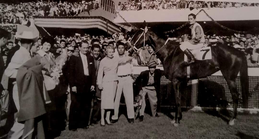 HORSERACING1002's tweet photo. LEA-B. 🇺🇸 1956
(SAGITTARIUS - ALAUNA BY BEST SELLER)#LeaB https://t.co/qdC4cAgZIX