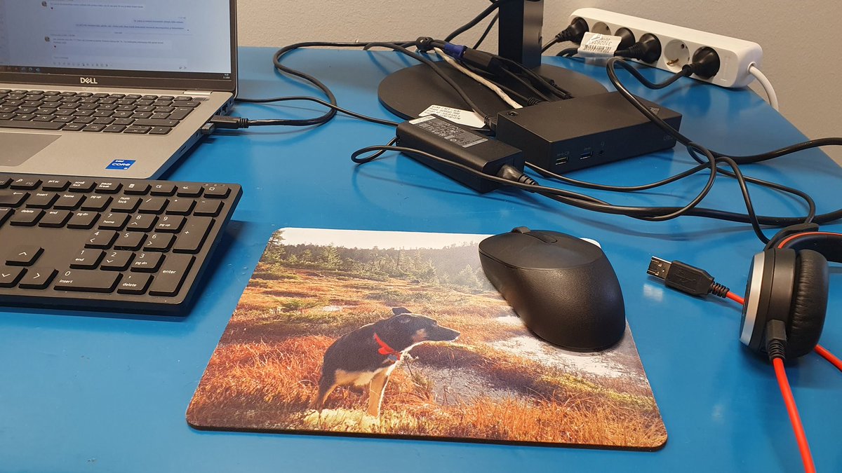 MariKononen's tweet photo. To have a boggy/doggy sense to bring some inspiration, I ordered myself a new mouse mat.  The best spend money ever (my own, not project). https://t.co/PqDUqEEPn7