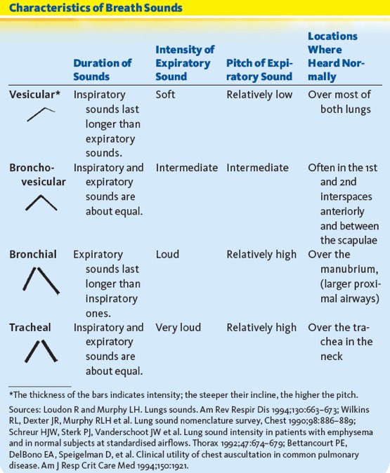Characteristics of Breath Sounds