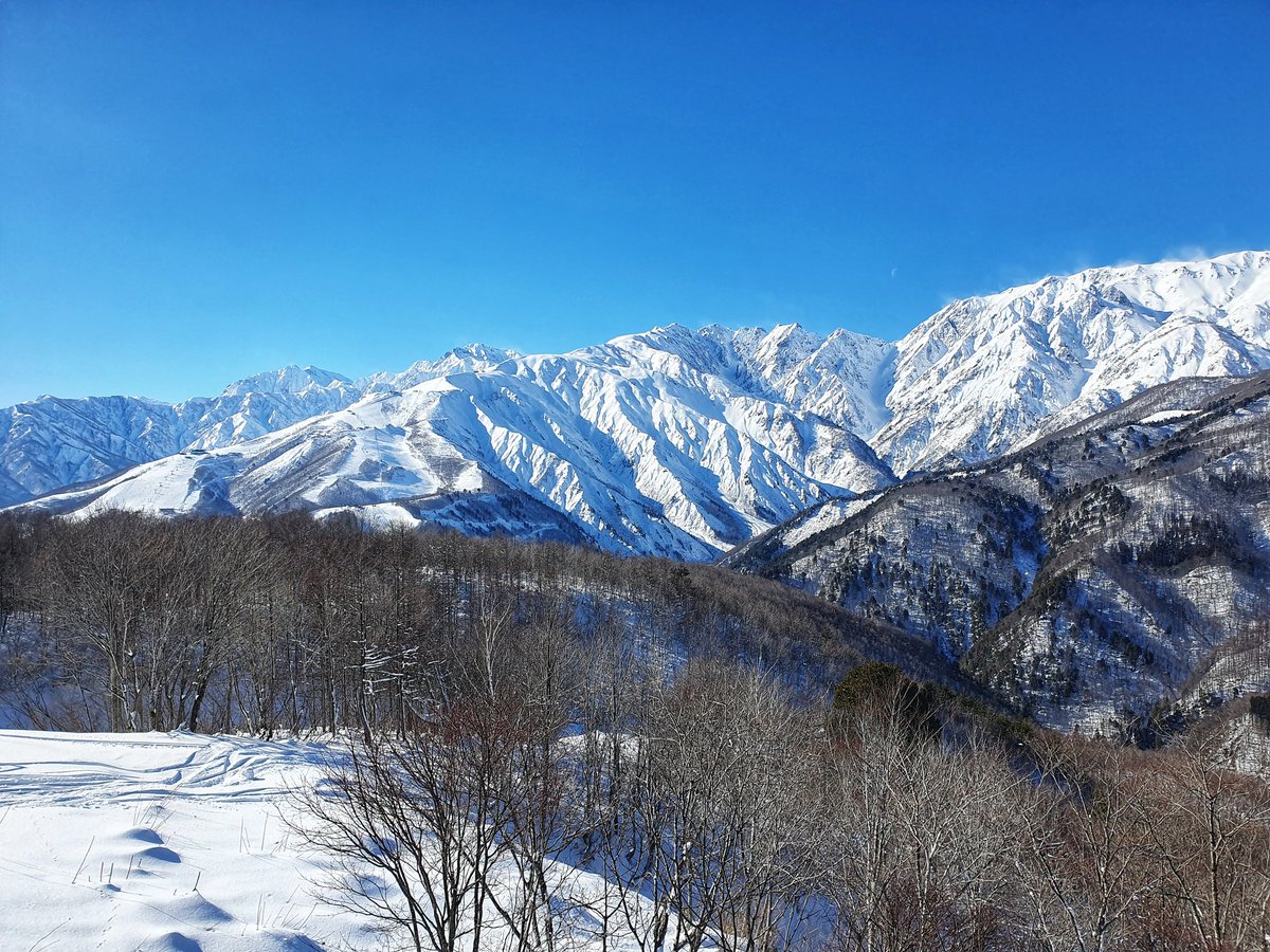 Mornings at the Japanese office