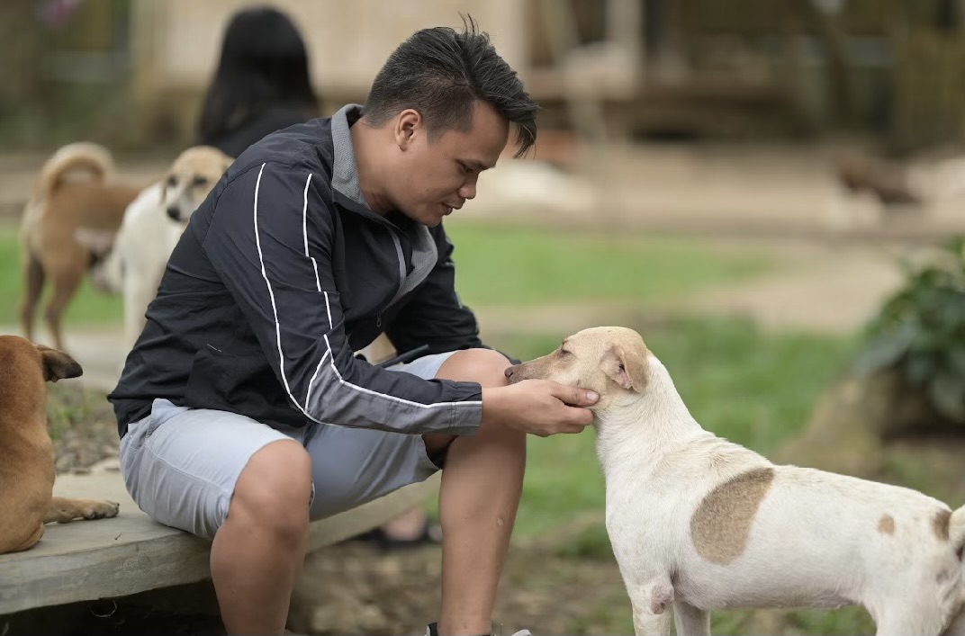 ConcentrixPH's tweet photo. Our Shared Services team in Bacolod spent their Christmas by sharing the love with our furry friends. On December 25, the team partnered with Balay Pawssion to conduct a feeding program, extending care to over 300 rescued dogs. #Gamechangers #GamechangingCX 🐶 https://t.co/ozpAzhVi7f