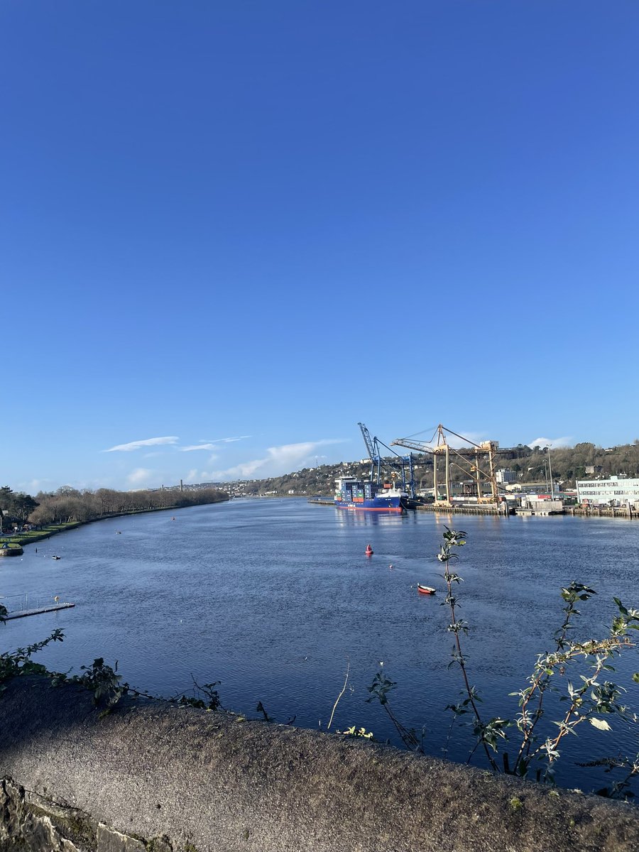 chickfoods's tweet photo. Not a bad day to be out on the road #cork #poultryinmotion ☀️😀 https://t.co/QilbrXRn8k
