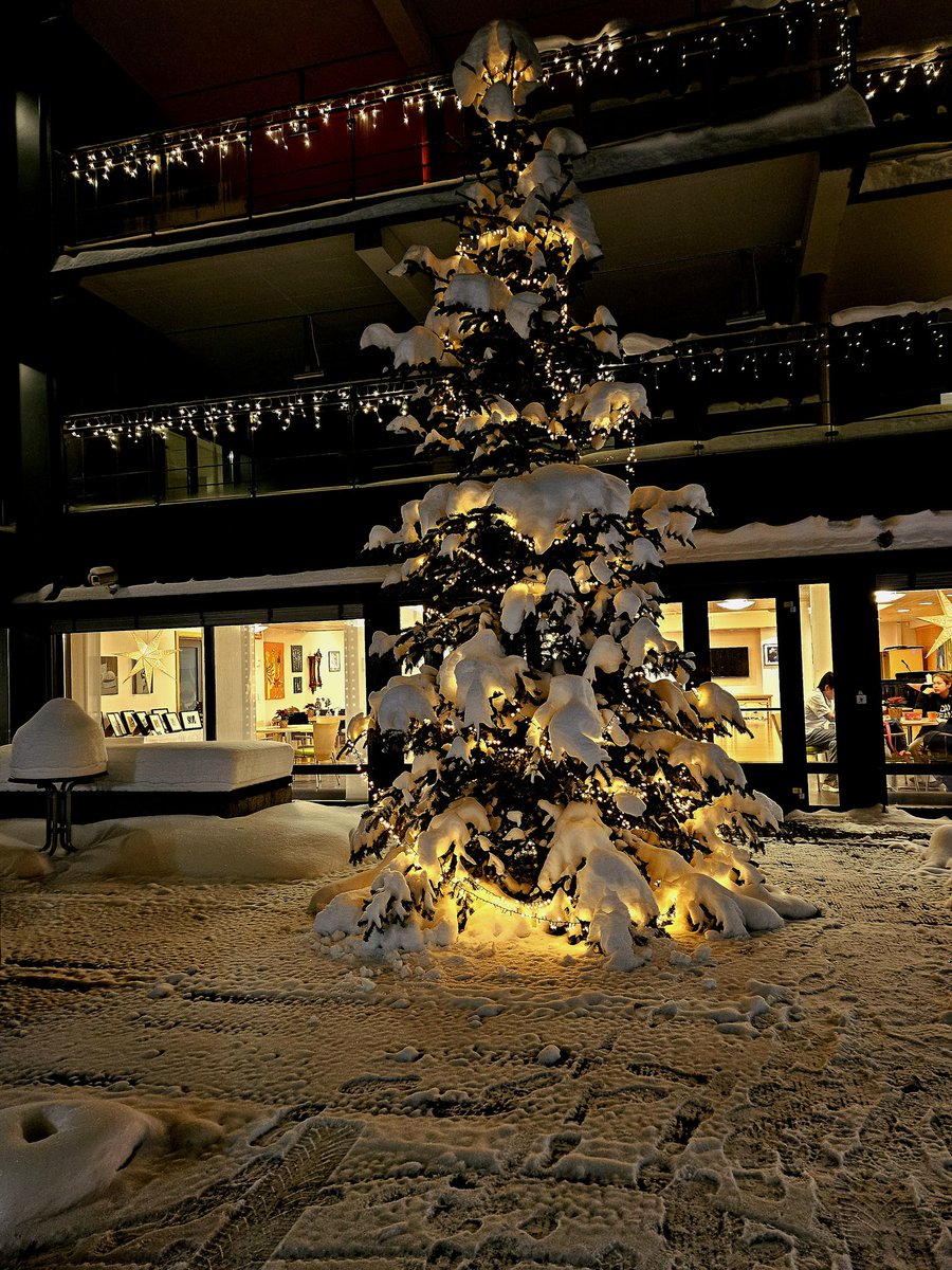 kruspersille79's tweet photo. When the christmas tree outside work looks nicer now than it did at christmas.
#fuckingcold #winter #Snow #decoration https://t.co/NMsbcHGCFi
