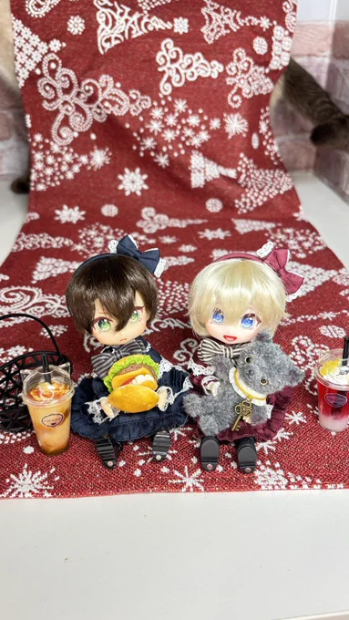 これはどうしても写真に写りたがるネコ 