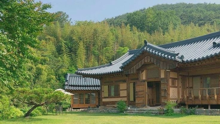moodyonmoon's tweet photo. 🌳🏡 https://t.co/pbc59VNHfa