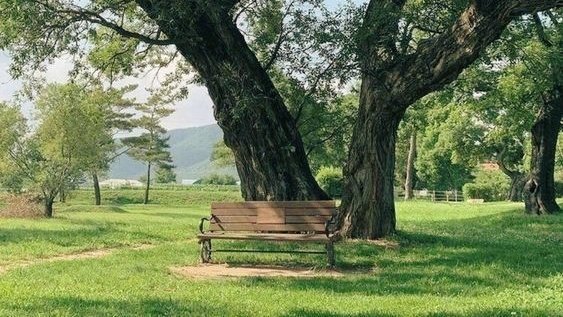 moodyonmoon's tweet photo. 🌳🏡 https://t.co/pbc59VNHfa